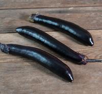 Aubergine Shinkansen