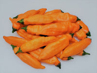 Piment fort Aji mango