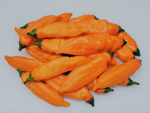 Piment fort Aji mango