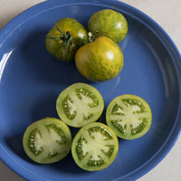 Tomates ancestrales vertes Green Zebra