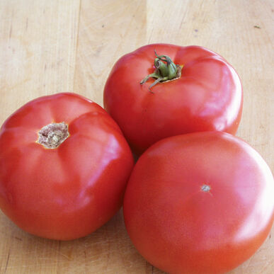 Tomates rouges BHN-589