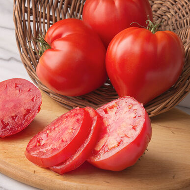 Tomates coeur de boeuf Cauralina